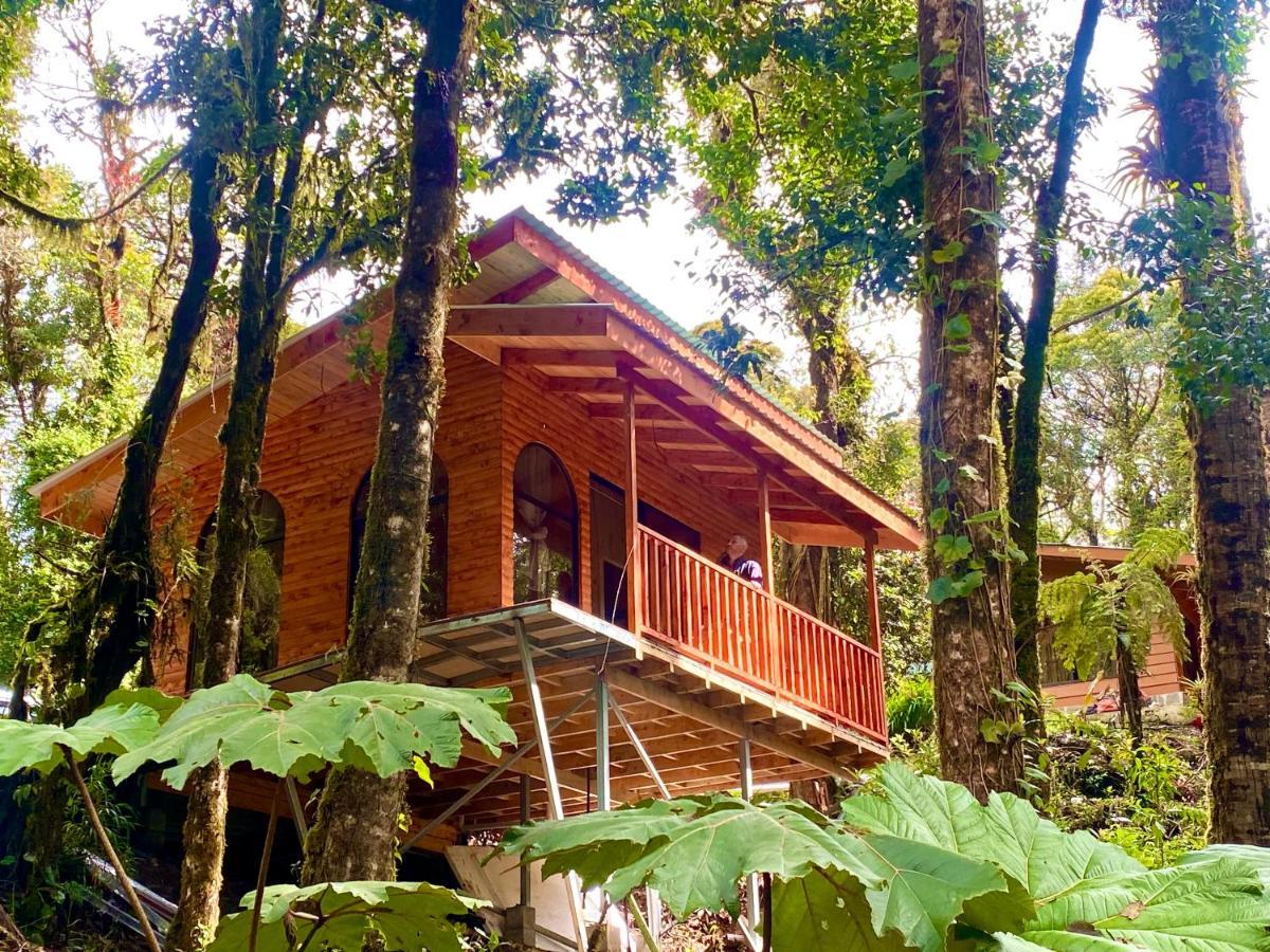 Cabana Anturios San Jose  Exterior foto