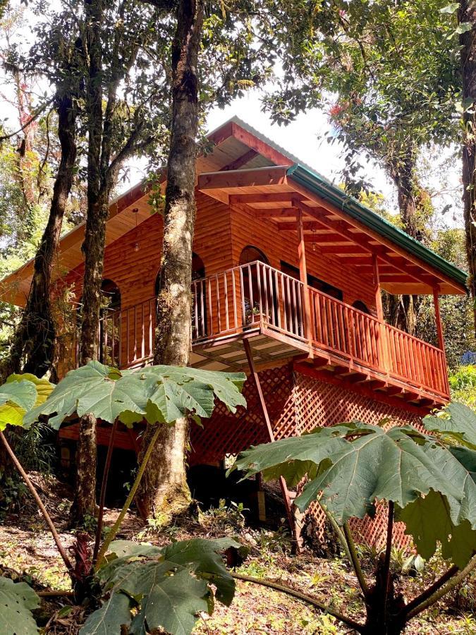 Cabana Anturios San Jose  Exterior foto