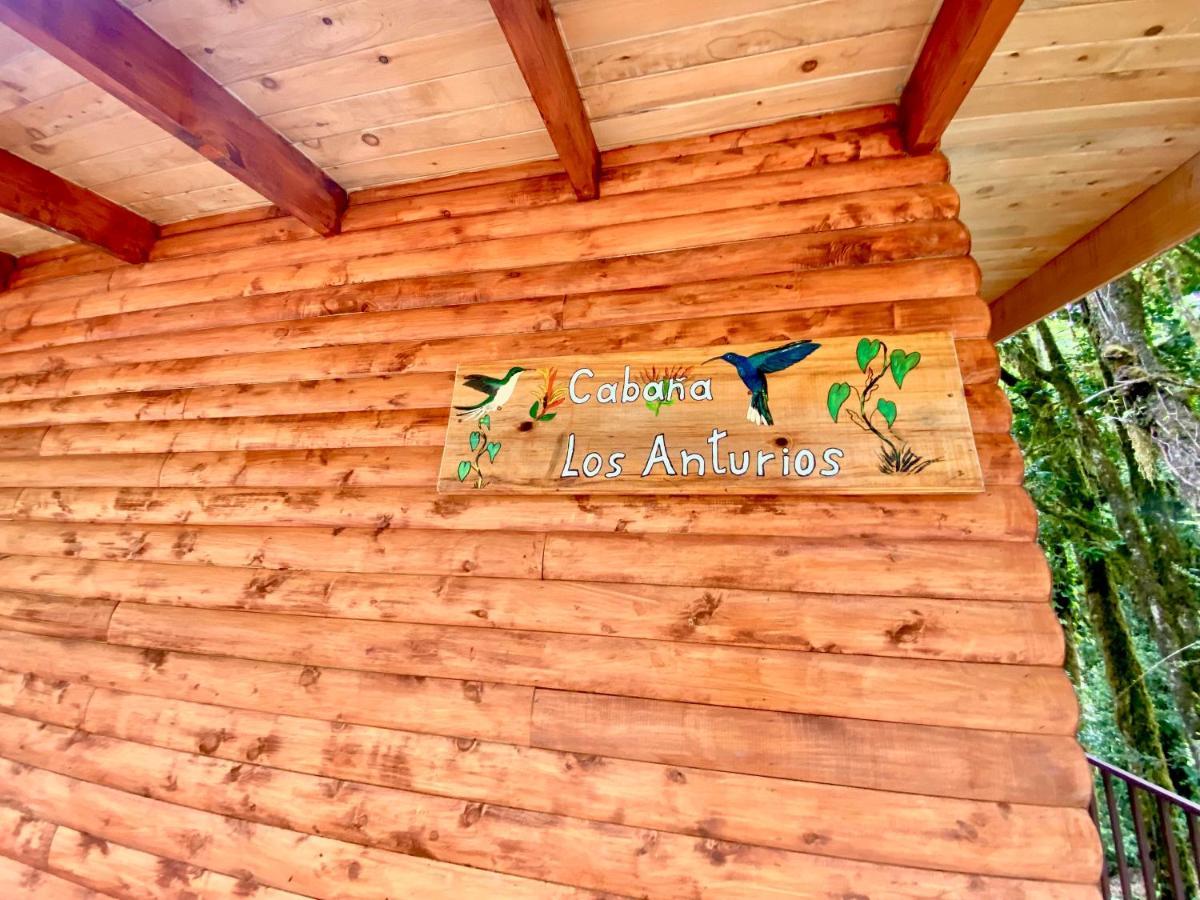 Cabana Anturios San Jose  Exterior foto