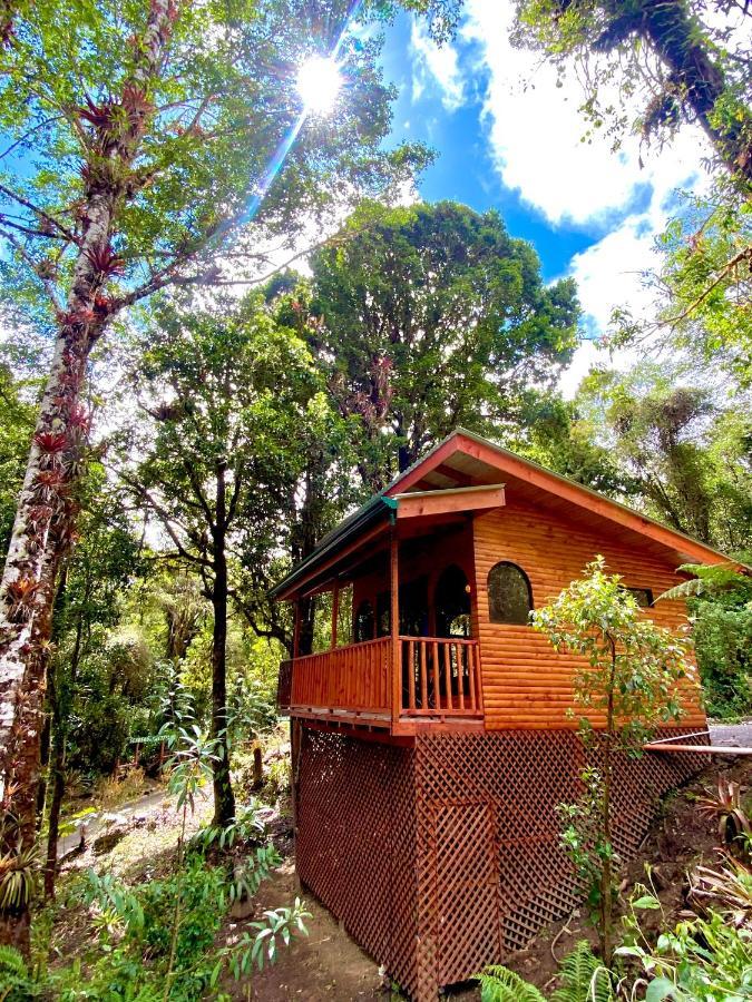 Cabana Anturios San Jose  Exterior foto