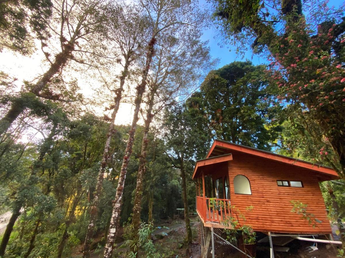 Cabana Anturios San Jose  Exterior foto