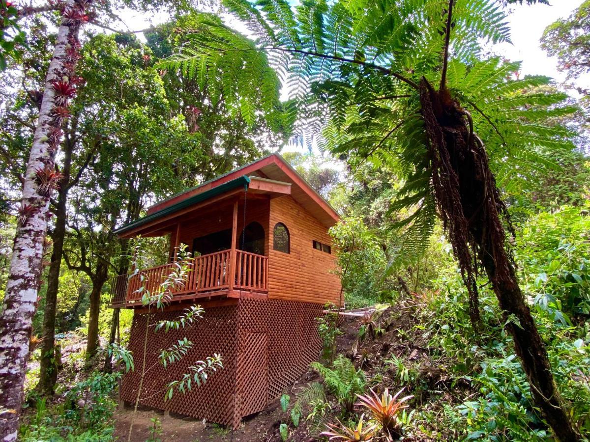 Cabana Anturios San Jose  Exterior foto