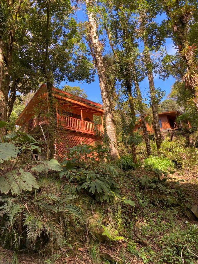 Cabana Anturios San Jose  Exterior foto