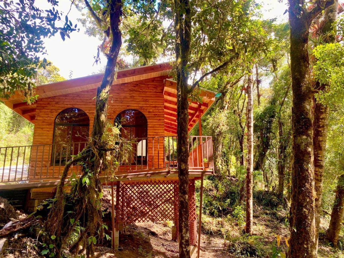 Cabana Anturios San Jose  Exterior foto
