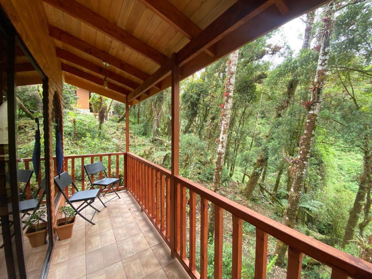 Cabana Anturios San Jose  Exterior foto