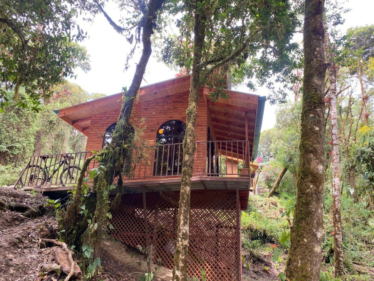 Cabana Anturios San Jose  Exterior foto