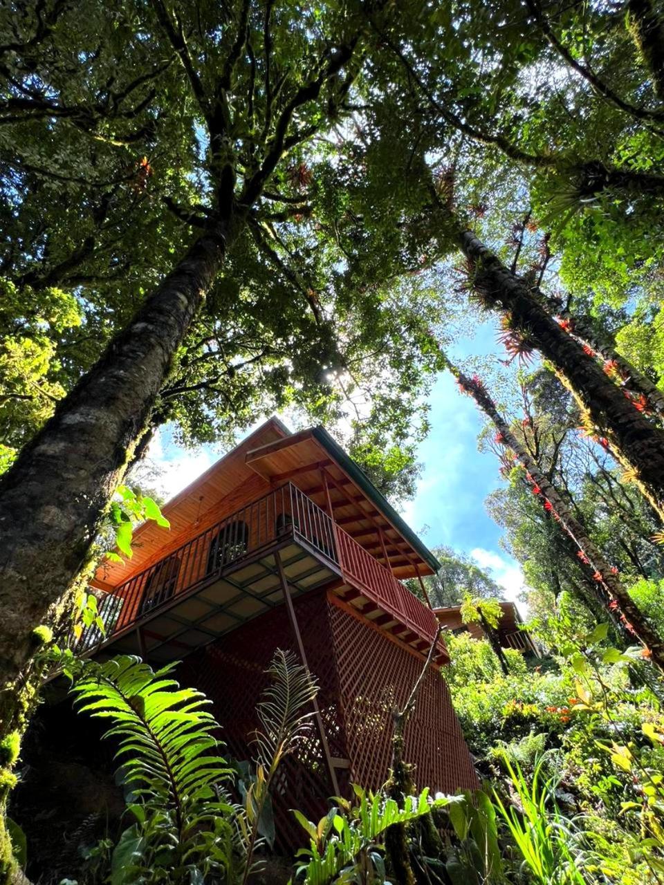Cabana Anturios San Jose  Exterior foto