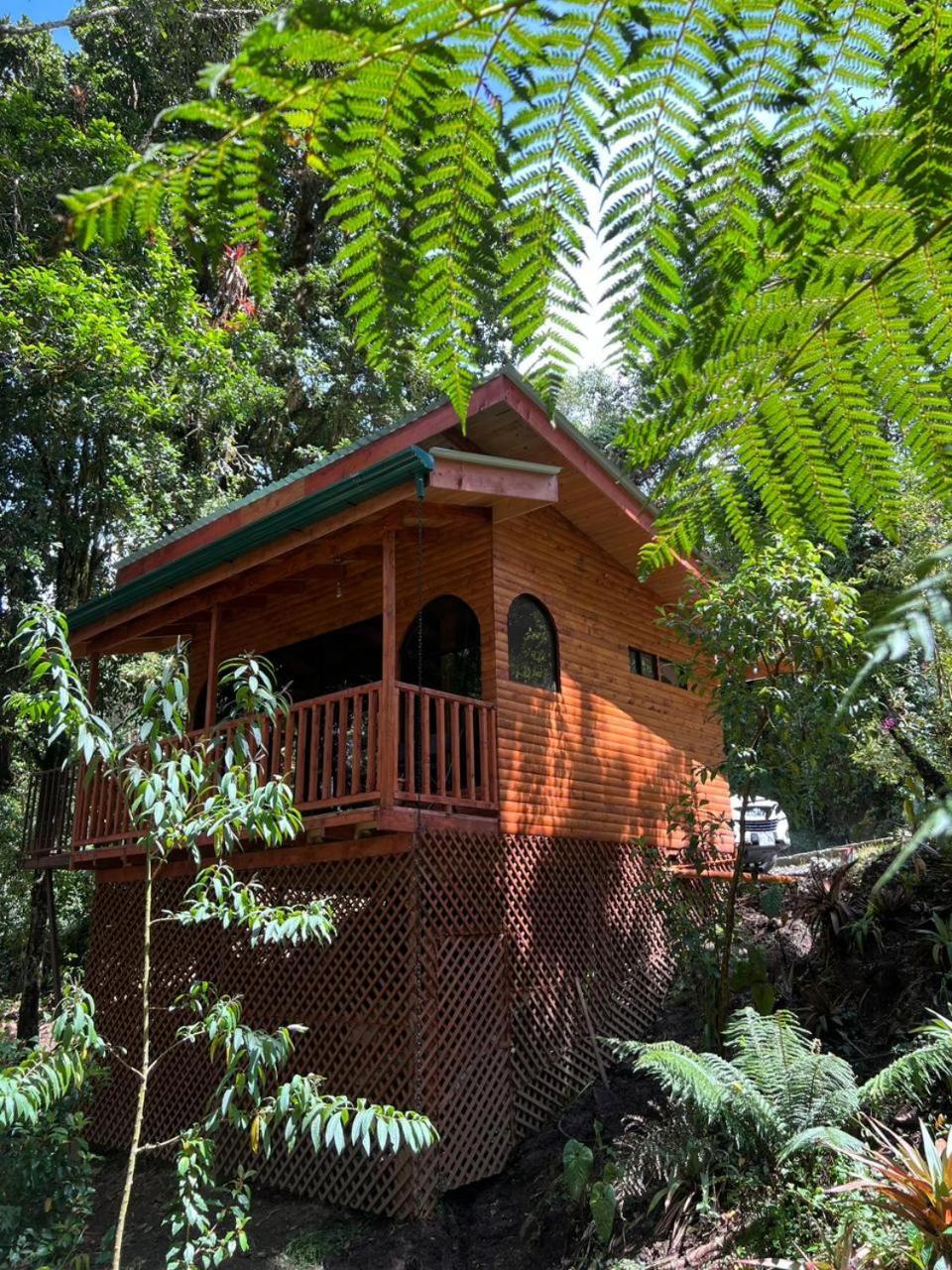 Cabana Anturios San Jose  Exterior foto